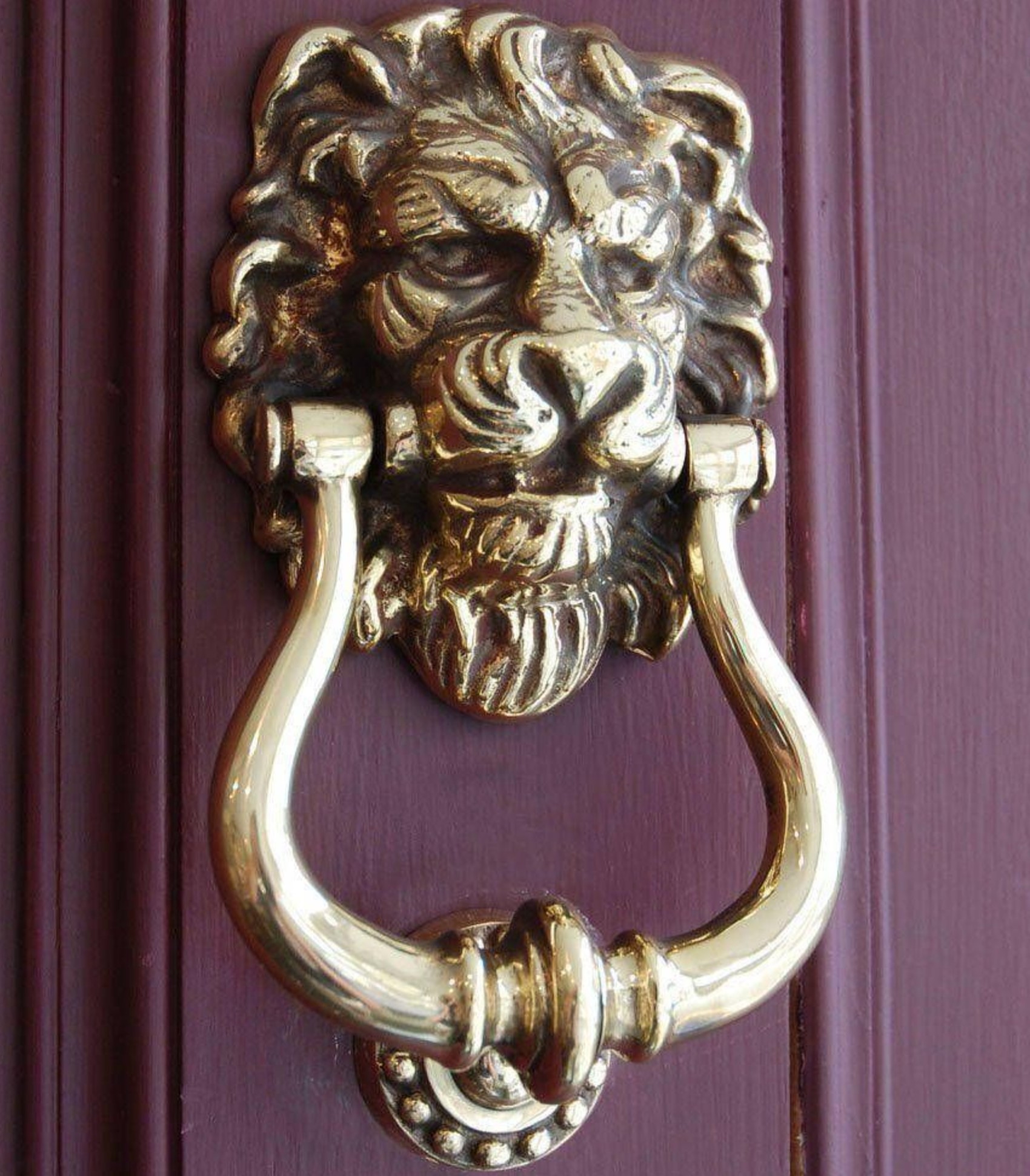 Door Knob 5